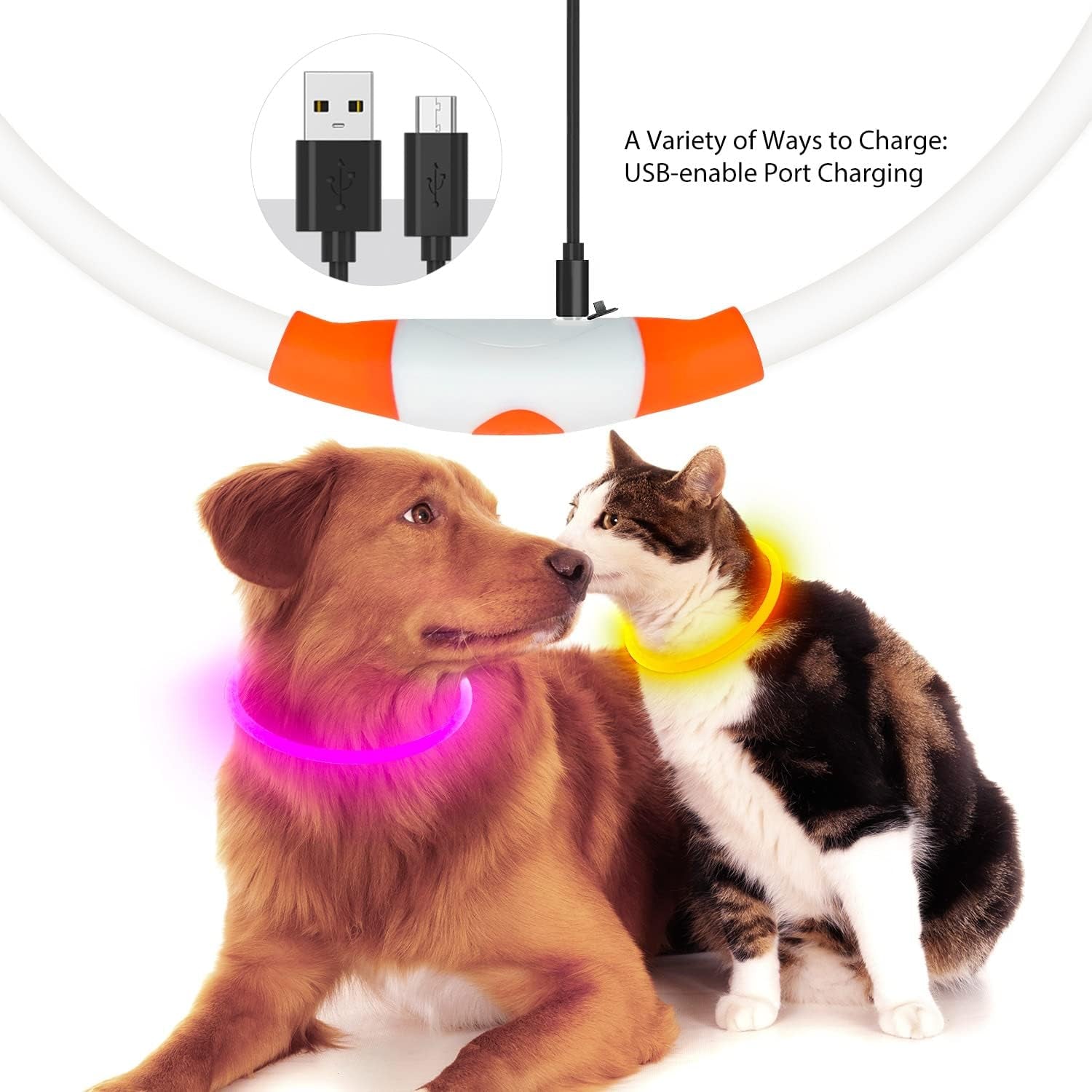 LED Dog Collar, USB Rechargeable Glow Lighted up Collar, Orange