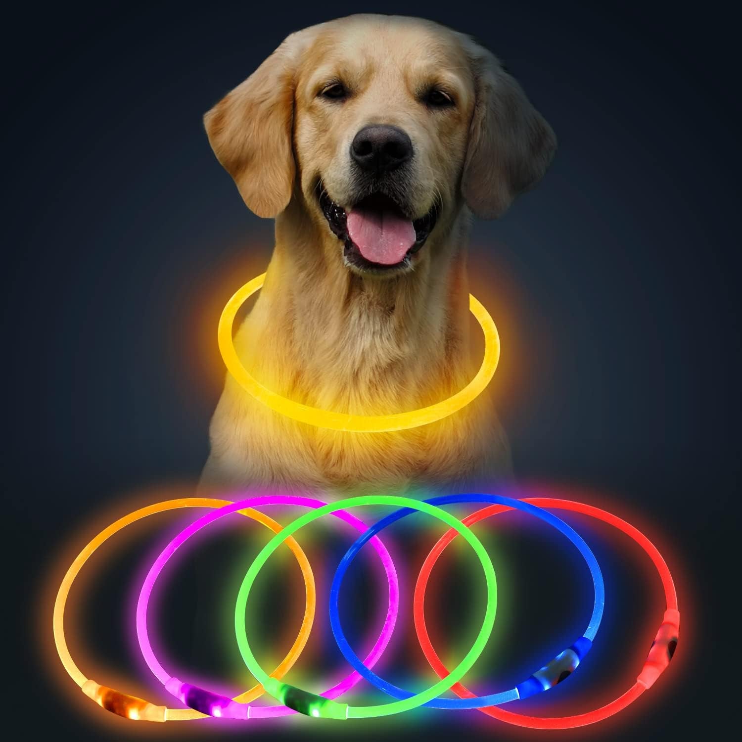 LED Dog Collar, USB Rechargeable Glow Lighted up Collar, Orange